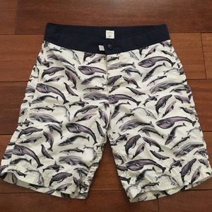 Boy’s Crewcuts board shorts